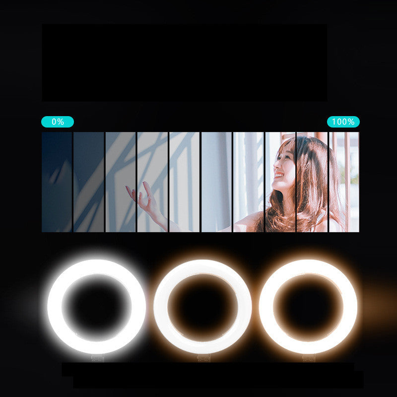 10-inch LED Fill Light Desktop